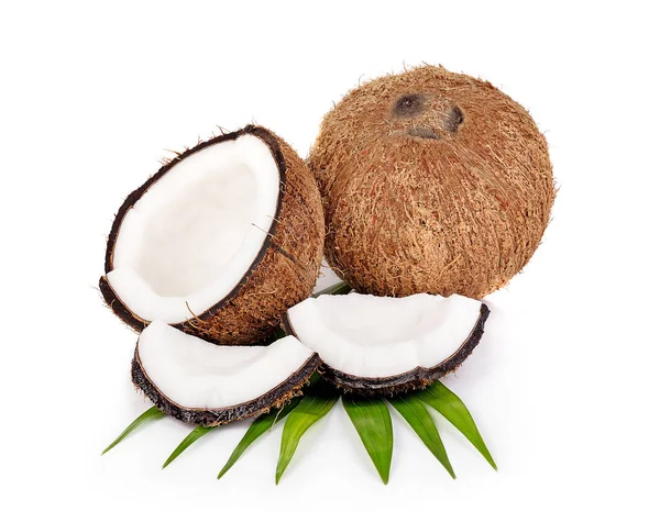 Kokos Białym Tle — Zdjęcie stockowe