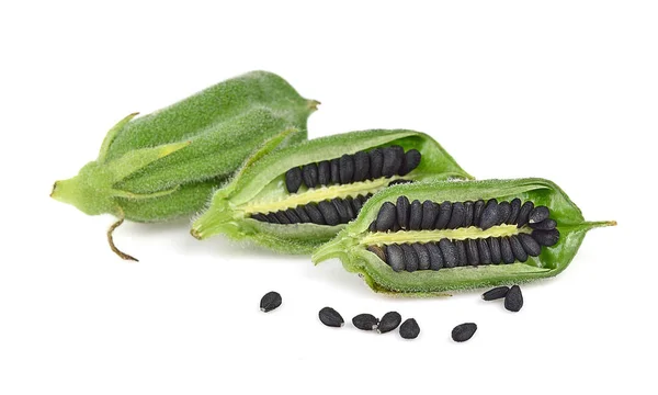 Schwarze Sesamsamen Isoliert Auf Weißem Hintergrund — Stockfoto