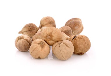 Siam beyaz arka plan üzerinde izole kakule.