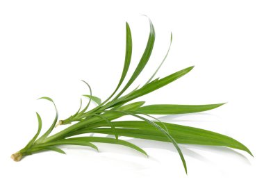 Pandan beyaz arkaplanda izole edildi.