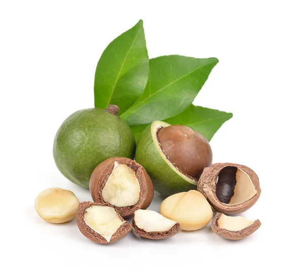 Nueces Macadamia Sobre Fondo Blanco — Foto de Stock