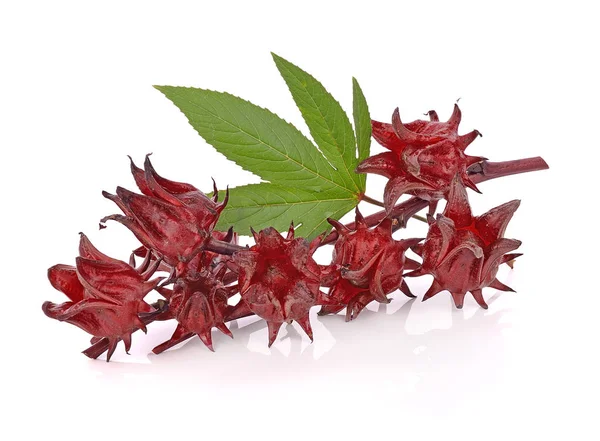 Hibiscus sabdariffa veya roselle meyve