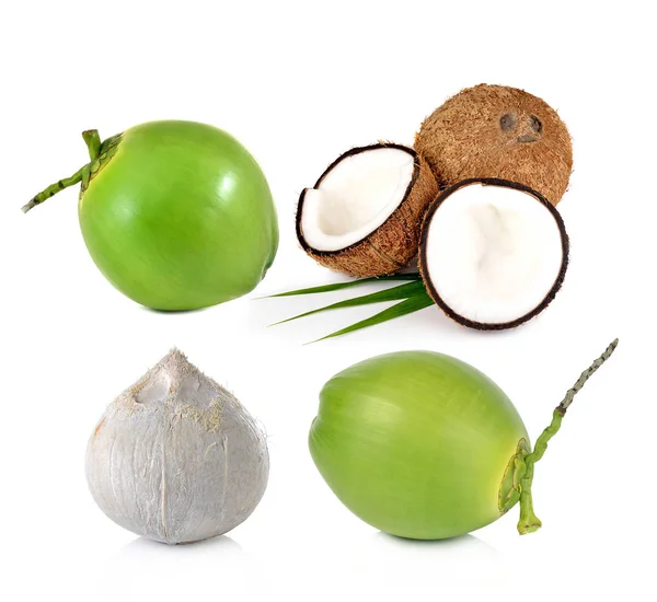 Kokosnüsse Auf Weißem Hintergrund — Stockfoto