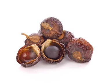 Beyaz arka plan üzerinde izole sabun fındık ağacı