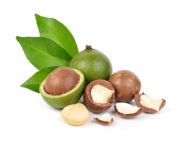 Beyaz arka planda Macadamia fındıkları