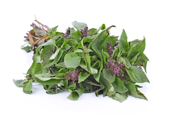 Fesleğen yaprakları beyaz arkaplanda izole