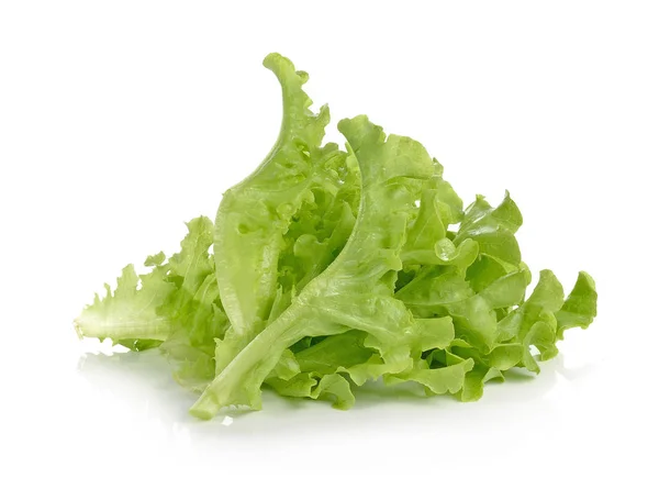 Lettuce White Background — Stock Photo, Image