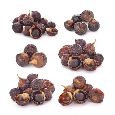 Beyaz arka plan üzerinde izole sabun fındık ağacı