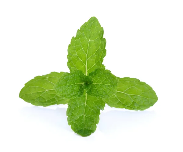 Mint Leaf White Background — Stock Photo, Image