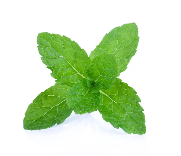 Hoja Menta Sobre Fondo Blanco — Foto de Stock