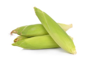 Mısır iyon beyaz arka plan.