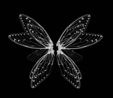 wings of Insect cicada on white bacground clipart