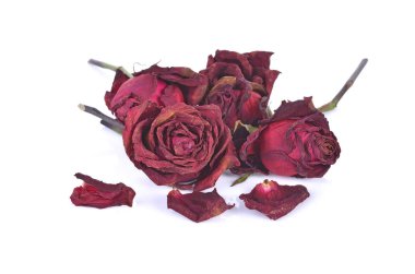 Beyaz arkaplanda izole edilmiş kuru güller