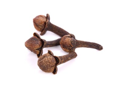 beyaz arkaplanda kuru karanfiller