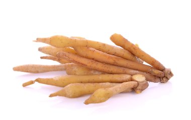 Parmak kökü, Kaempfer, Boesenbergia beyaz arkaplanda