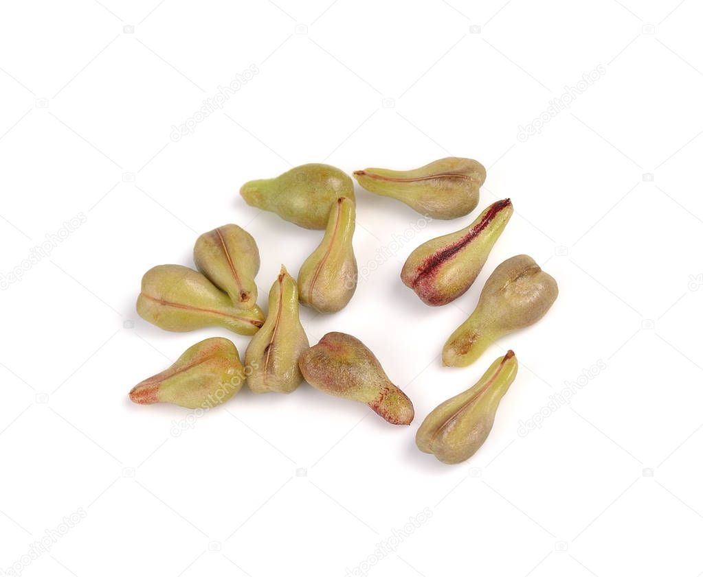 grape Seed isolated on white background