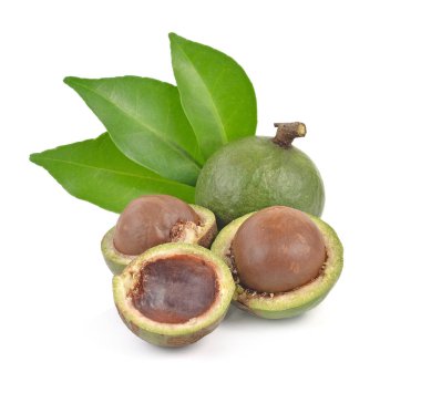 Beyaz arka planda Macadamia fındıkları