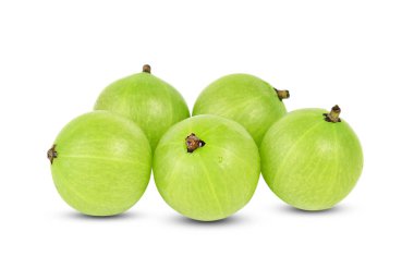 beyaz zemin üzerine bektaşi