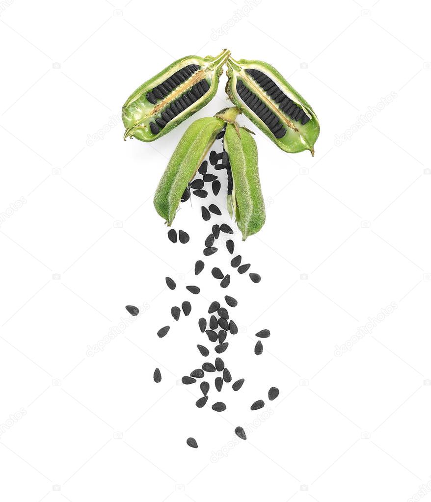 Top view of Black Sesame Seeds on white background