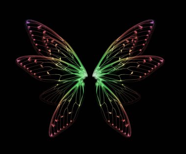 wings of Insect cicada on black bacground clipart