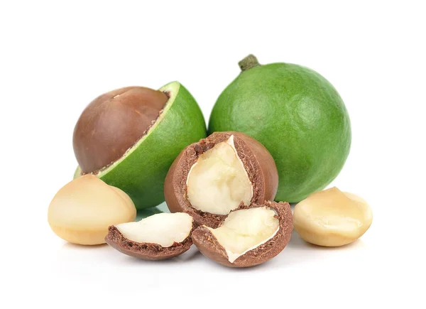 Macadamia noten geïsoleerd op witte achtergrond. — Stockfoto