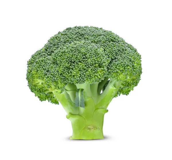 Broccoli isolati su fondo bianco — Foto Stock