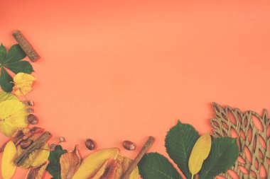 Yaprakları, odun ve meşe palamutları ile sarı, kahverengi ve yeşil sonbahar arka plan