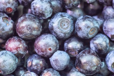 Çilek taze orman yaban mersini, makro fotoğrafçılık, bilberry arka plan