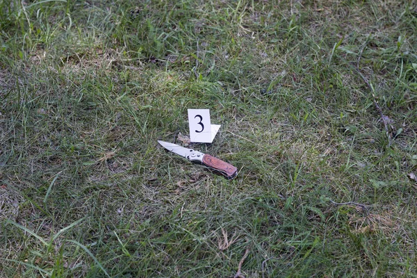 Μαχαίρι στο γρασίδι, έρευνα, δολοφονία — Φωτογραφία Αρχείου