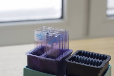 kan testleri için cam