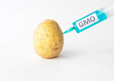 Patates hangi GDO ve nitrat, yakın çekim, prick şırınganın beyaz bir arka plan üzerinde genetiği değiştirilmiş organizma