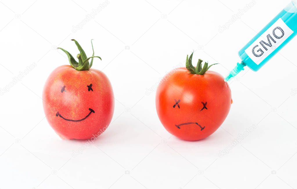 Tomatoes on a white background with faces in which are pricked from a syringe gmo and nitrates, close-up, genetically