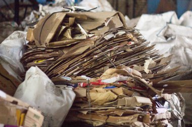 sıralama çöp, karton, yakın çekim, karton malzeme