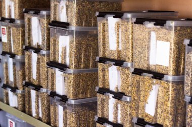 Laboratuvar analiz ve tanı tahıl alanından, plastik kaplar örnekleri tahıl, Mısır