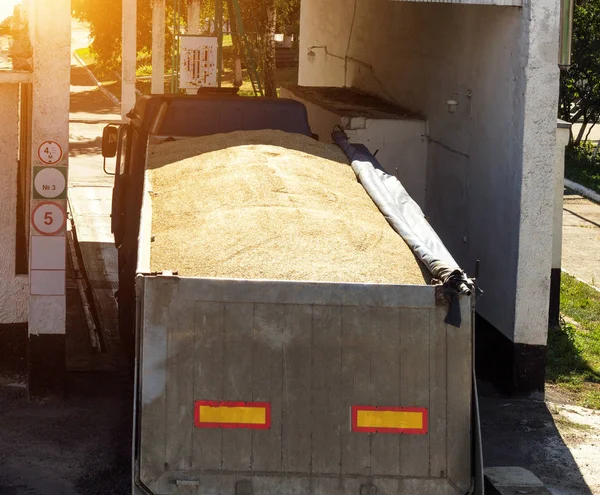 Le camion chargé de grain saisit les balances, pour un déchargement ultérieur du grain, granule — Photo