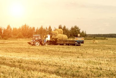 Çiftçi bir traktör haystack alır ve römork, tarım balya saman yükler