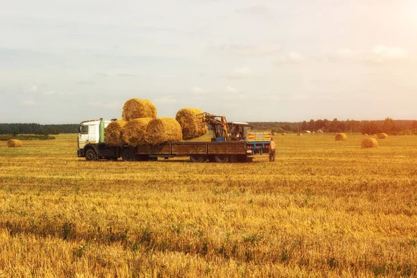 Boer op een tractor pakt hooiberg en laadt baal hooi in de trailer, landbouw — Stockfoto
