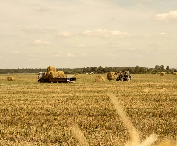 Boer op een tractor pakt hooiberg en laadt baal hooi in de trailer, landbouw — Stockfoto