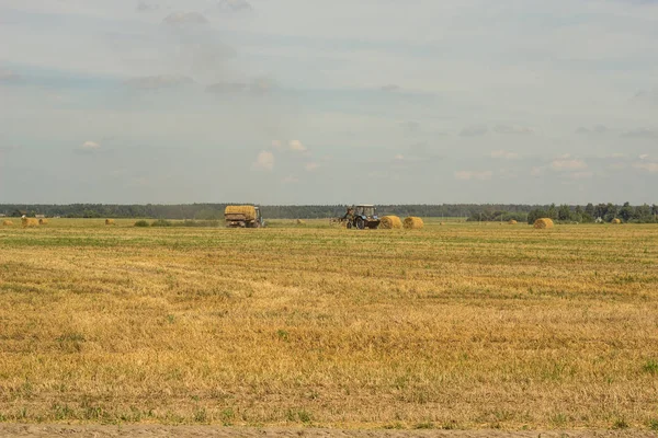 Landbouw en trekker verzamelt strobalen op de boerderij-plant — Stockfoto