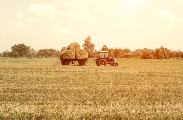 การเกษตรและรถแทรกเตอร์รวบรวมก้อนฟางบนโรงงานฟาร์ม — ภาพถ่ายสต็อก