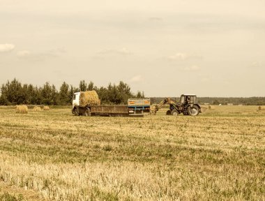 Çiftçi bir traktör haystack alır ve römork, tarım balya saman yükler