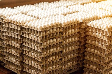 Bir sürü tavuk yumurtası kasetlere, tavuk yumurta, sıralama gıda