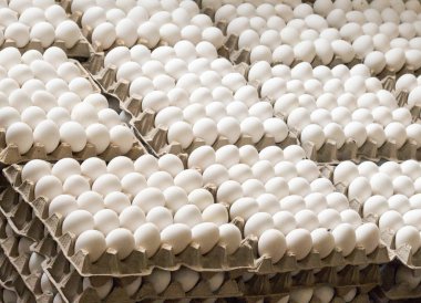 Bir sürü tavuk yumurtası kasetlere, tavuk yumurta, sıralama gıda