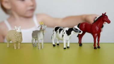 Küçük bir çocuk oyuncakları öğrenme ile hayvan yaşamı çalış, mantık ve hareketliliği, hayvanlar, alışma, beyaz arka plan, yakın çekim, oyuncak ayırt yeteneği geliştirir