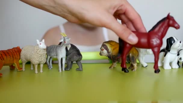 Les parents enseignent à un petit enfant à faire la distinction entre les animaux, un enfant joue avec les jouets et les parents, gros plan, caucasien — Video