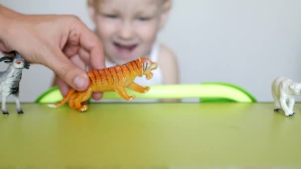 Eltern lehren ein kleines Kind zwischen Tieren zu unterscheiden, ein Kind spielt mit Spielzeug und Eltern, Nahaufnahme, kaukasisch — Stockvideo