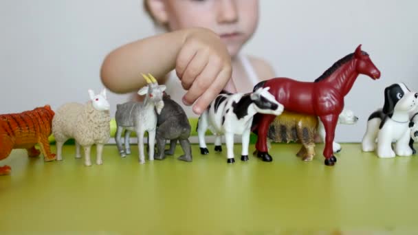 Uma criança pequena brinca com a vida animal com brinquedos de aprendizagem, desenvolve lógica e motilidade, a capacidade de distinguir animais, familiarização, fundo branco, close-up — Vídeo de Stock