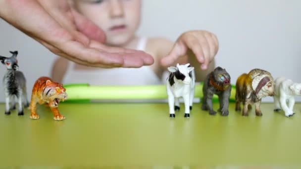 Forældre lærer et lille barn at skelne mellem dyr, et barn leger med legetøj og forældre, close-up, kaukasiske. – Stock-video