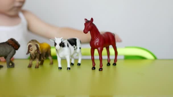 Ouders leren een klein kind onderscheid maken tussen dieren, een childs spelen met speelgoed en ouders, close-up, Kaukasische — Stockvideo