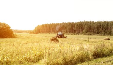 Eski traktör arka plan orman, yaz günü, pulluk köyde alana pulluk